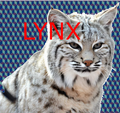 Lynx